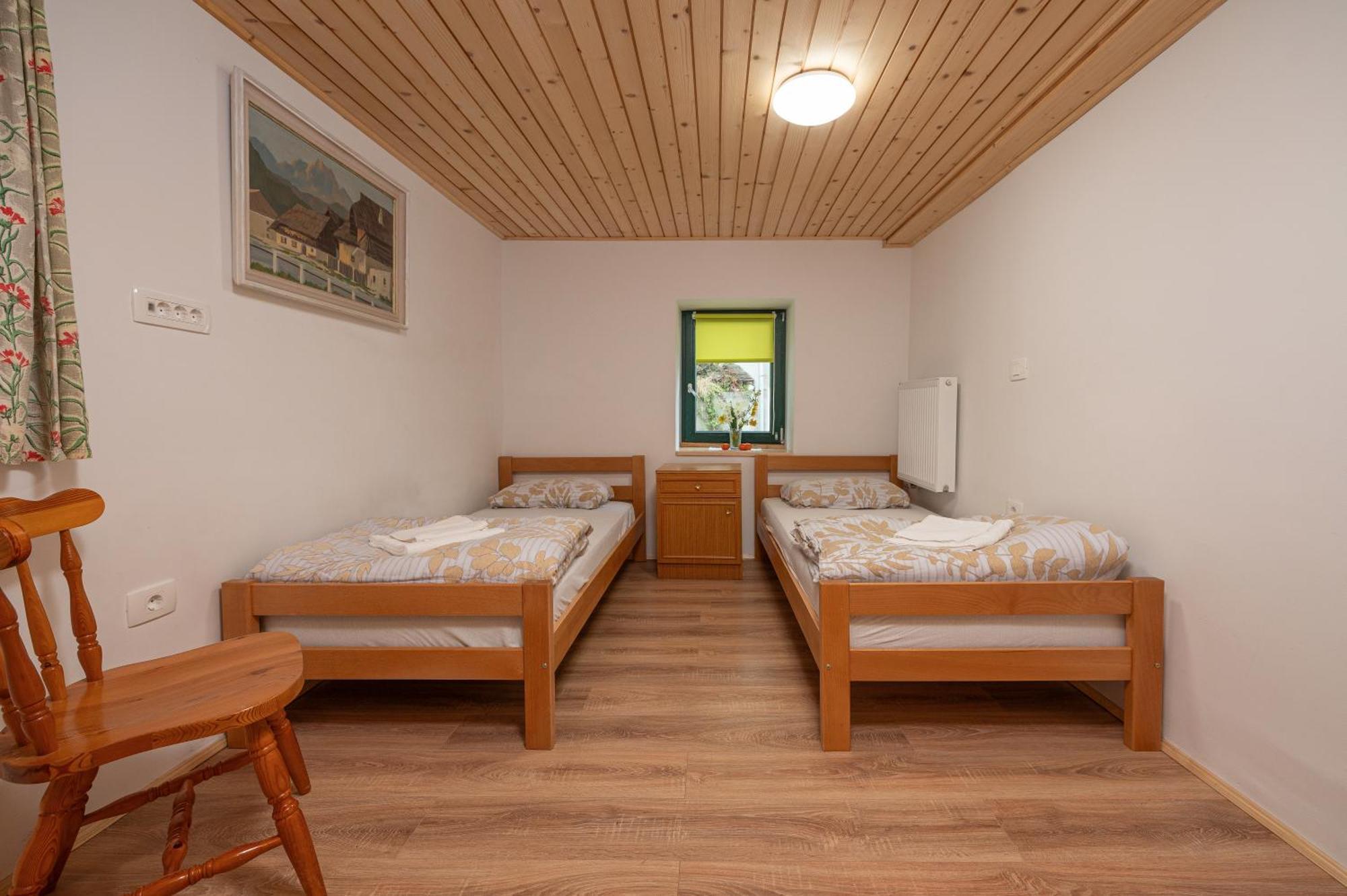 Zelena Hisa Pri Bjov Appartement Bohinjska Bela Buitenkant foto