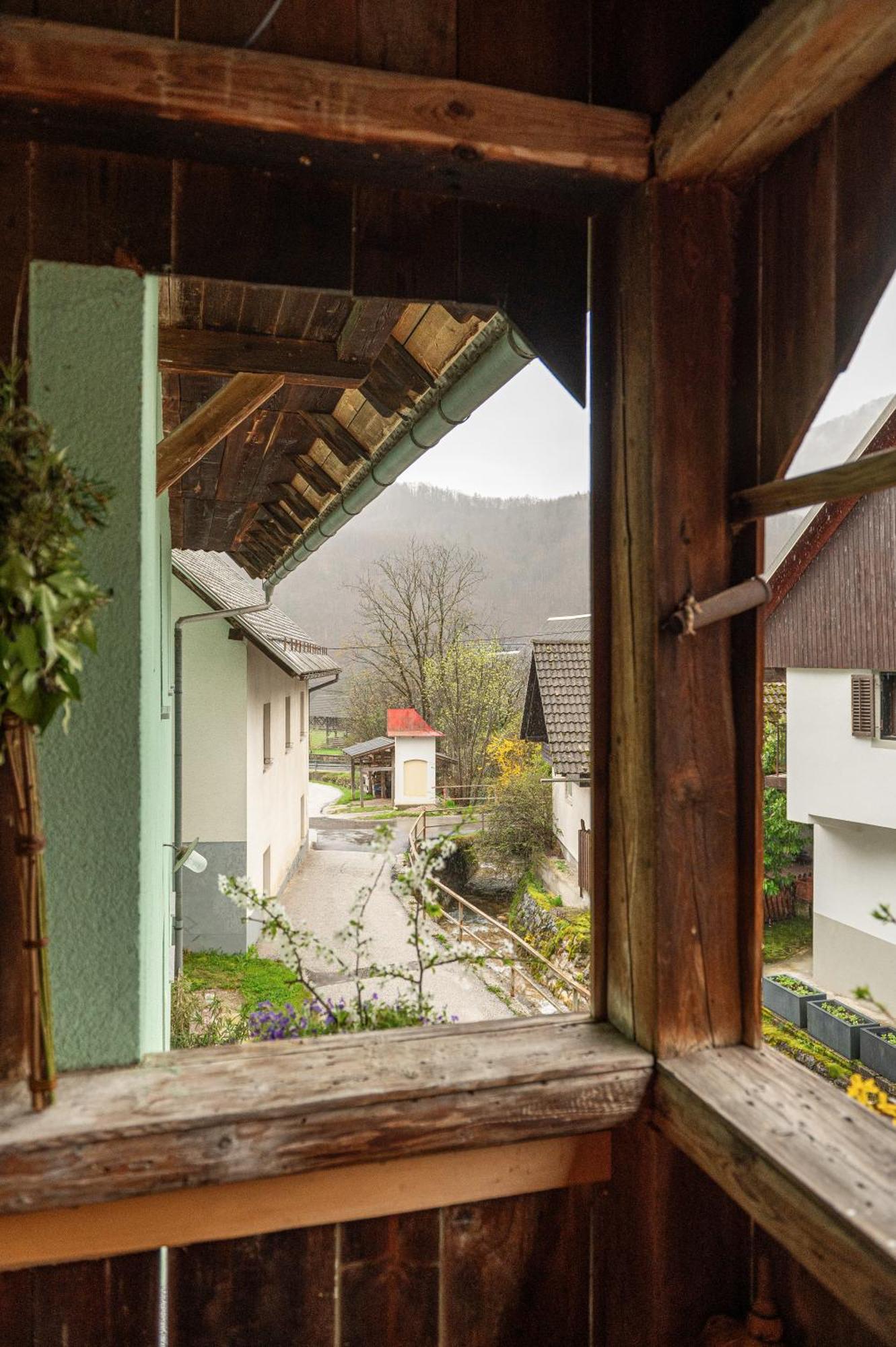Zelena Hisa Pri Bjov Appartement Bohinjska Bela Buitenkant foto