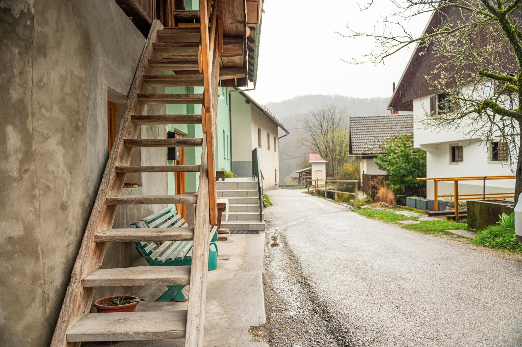 Zelena Hisa Pri Bjov Appartement Bohinjska Bela Buitenkant foto