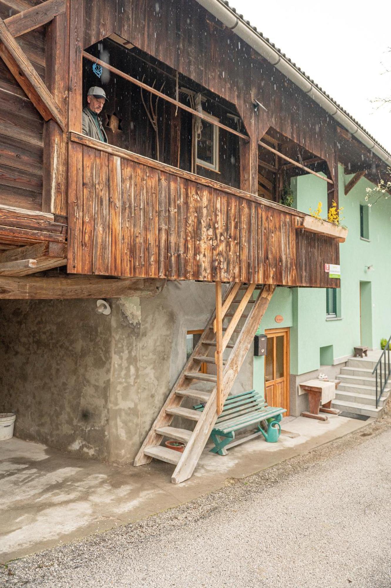 Zelena Hisa Pri Bjov Appartement Bohinjska Bela Buitenkant foto