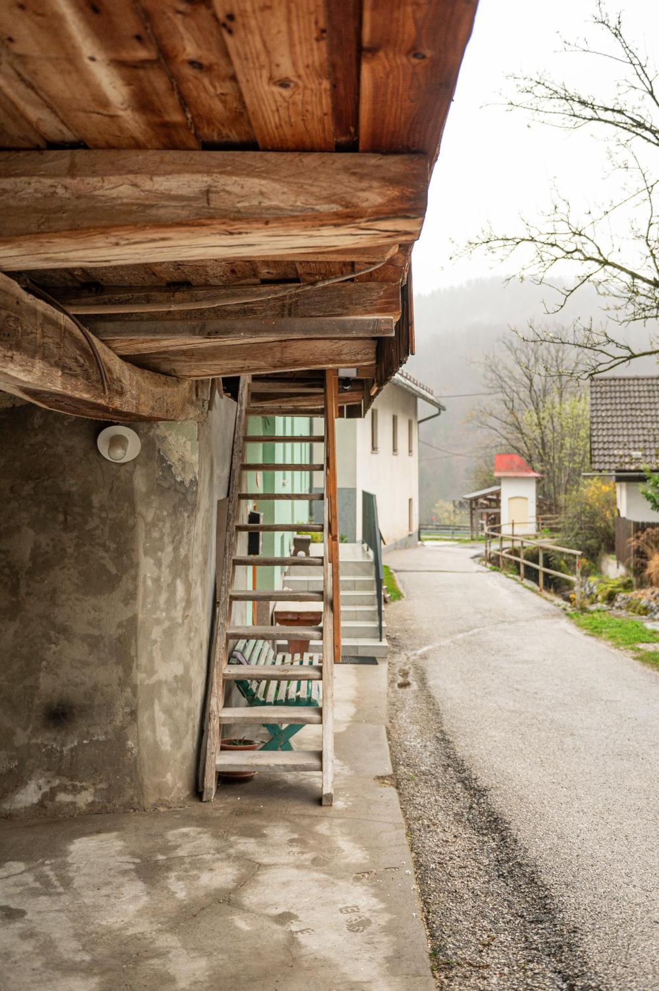 Zelena Hisa Pri Bjov Appartement Bohinjska Bela Buitenkant foto