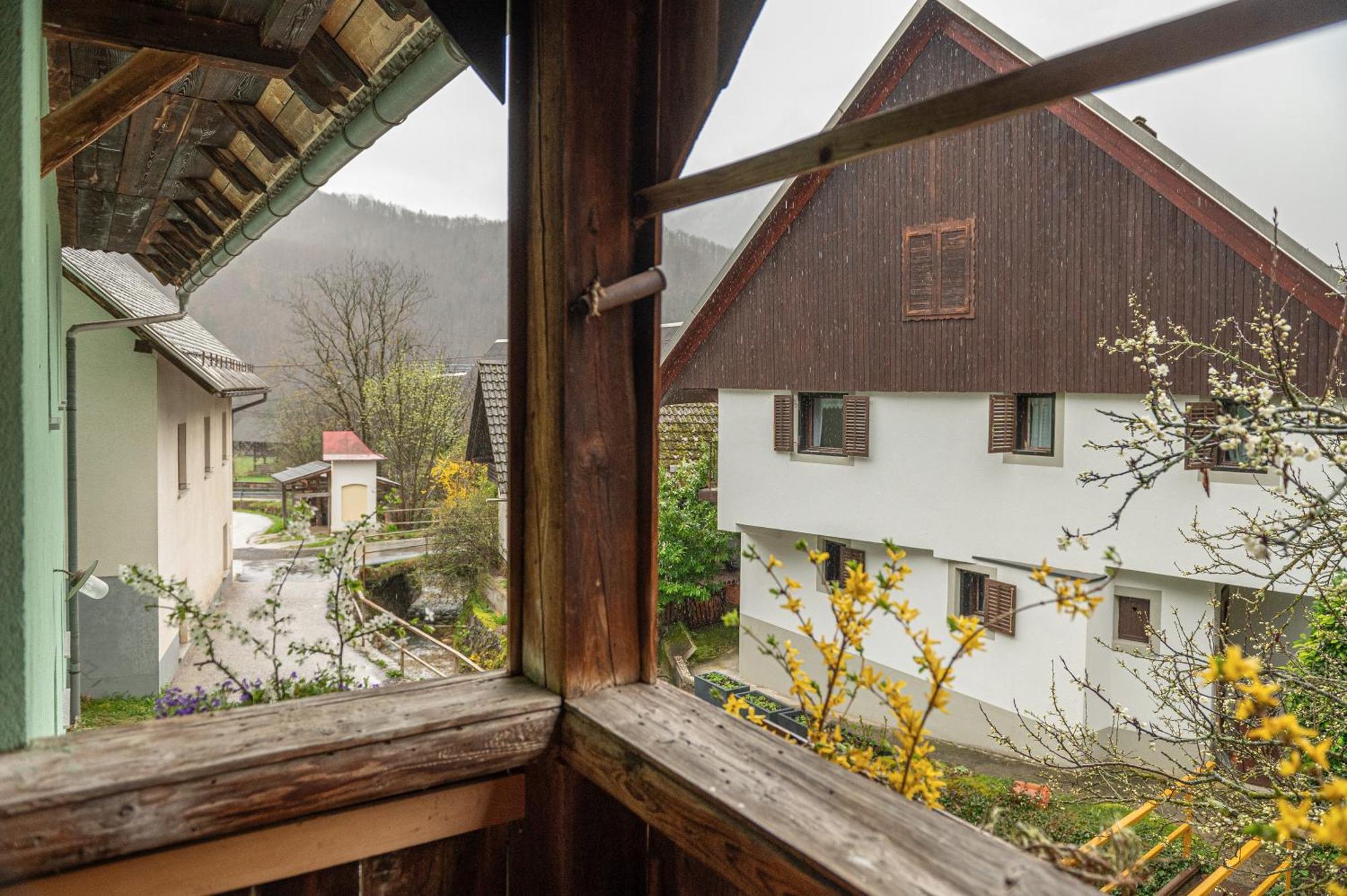 Zelena Hisa Pri Bjov Appartement Bohinjska Bela Buitenkant foto
